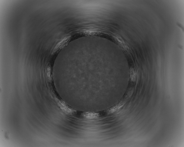 X0000097600670200802291245