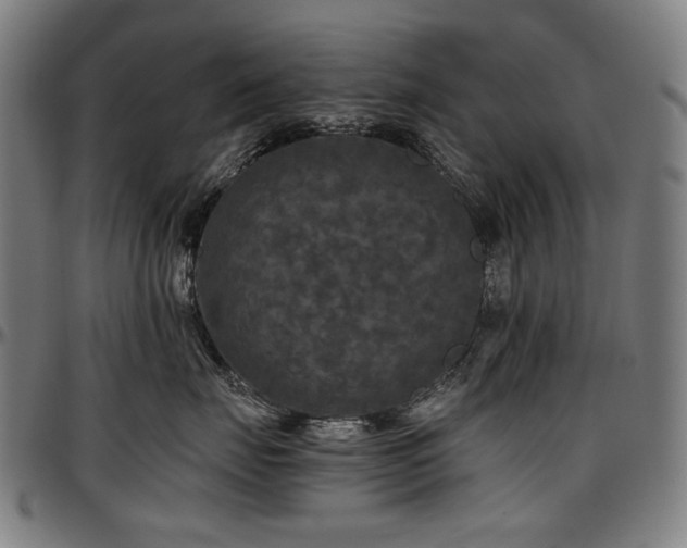 X0000097600671200802291245