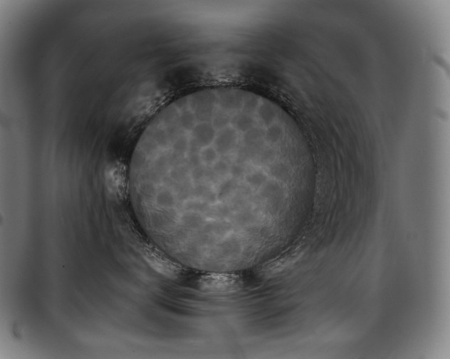 X0000097600672200802291245