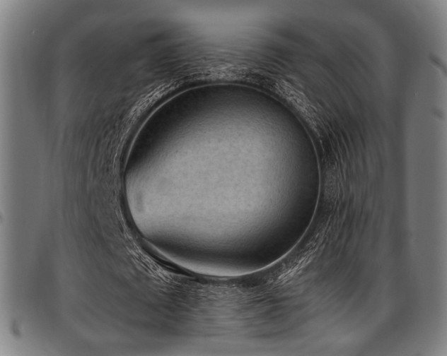 X0000097600673200802291244
