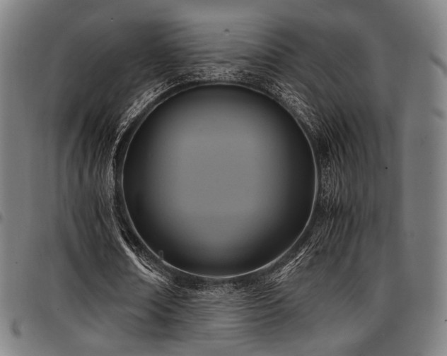 X0000097600674200802291244