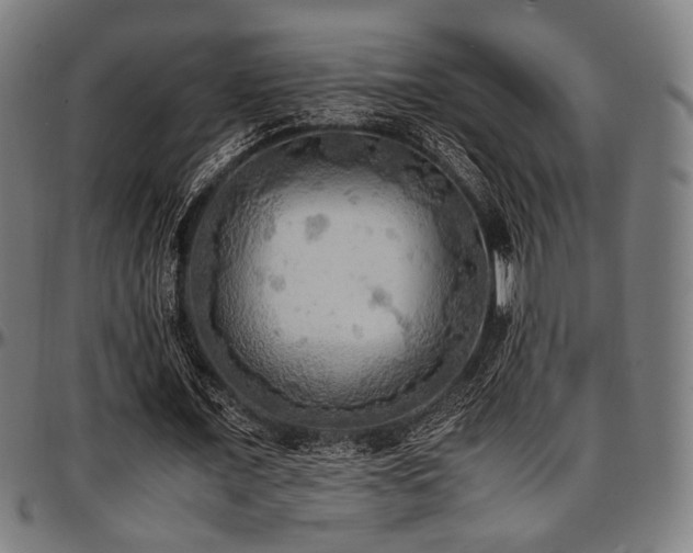 X0000097600675200802291244