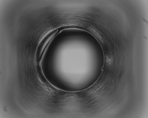 X0000097600676200802291244