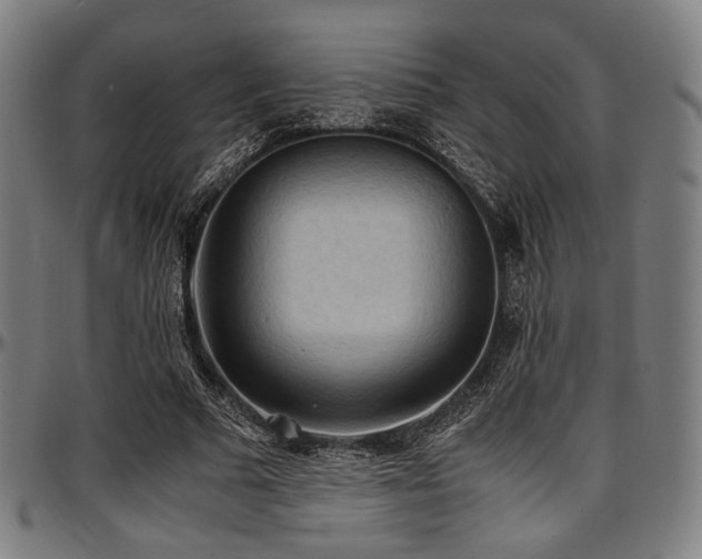 X0000097600681200802291244