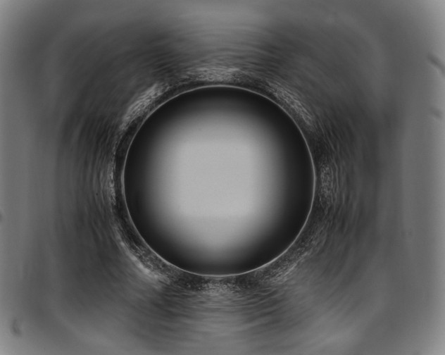 X0000097600682200802291244