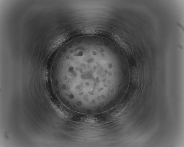 X0000097600683200802291244