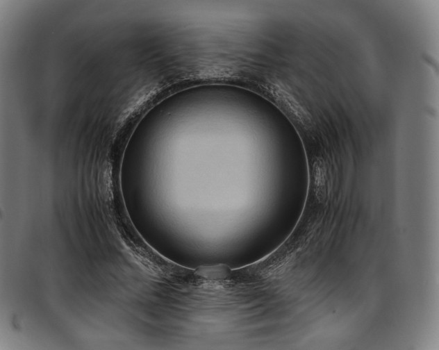 X0000097600684200802291244