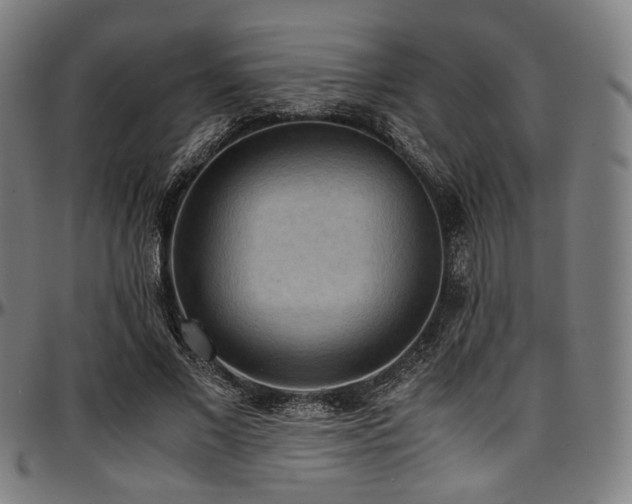 X0000097600685200802291244