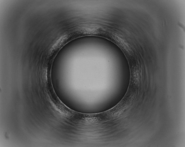 X0000097600686200802291244