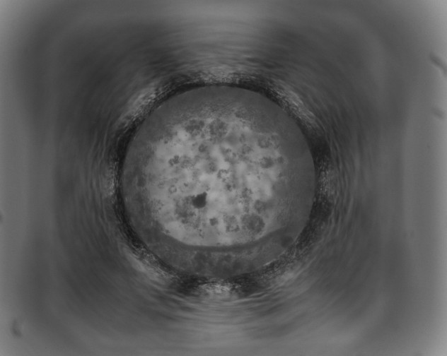 X0000097600687200802291244