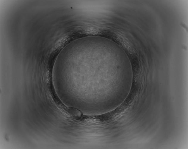 X0000097600689200802291244