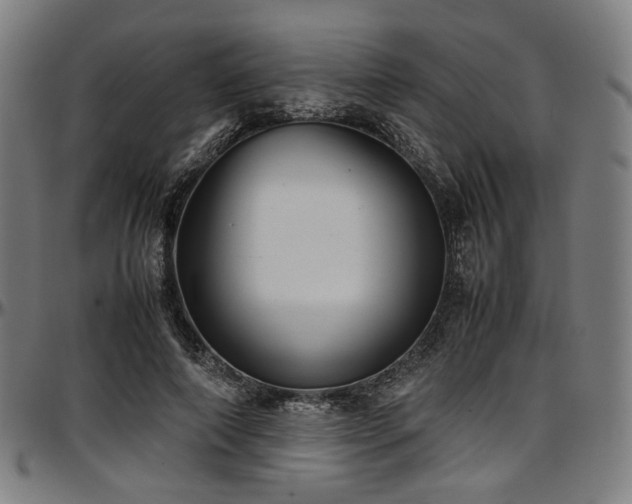 X0000097600690200802291244