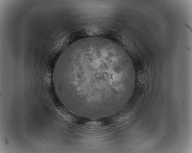 X0000097600691200802291244