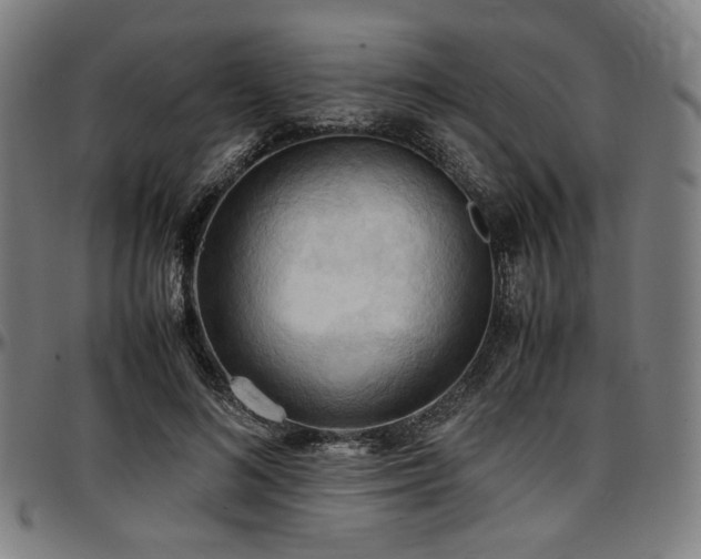 X0000097600692200802291244