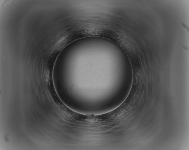 X0000097600693200802291244