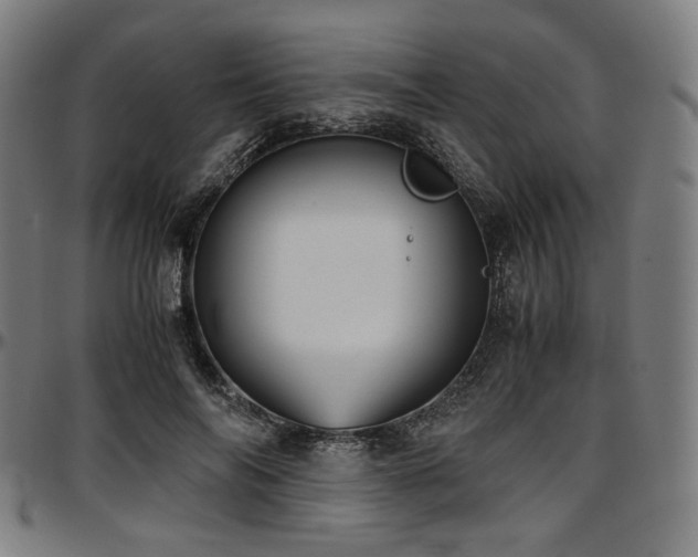 X0000097600694200802291244