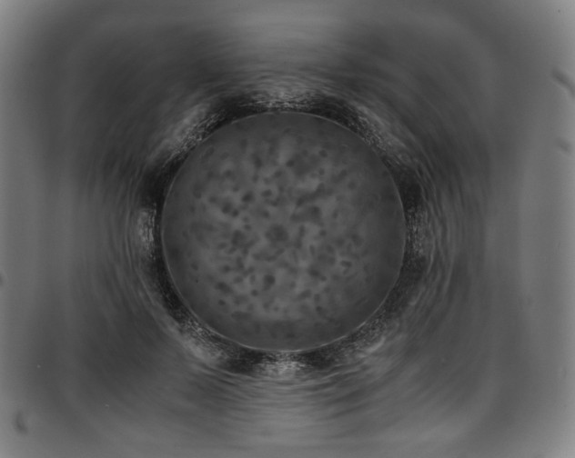 X0000097600695200802291244