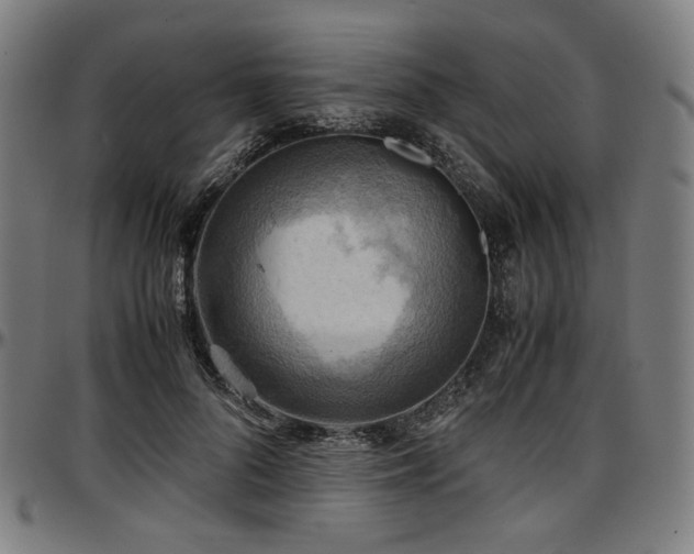 X0000097600696200802291244