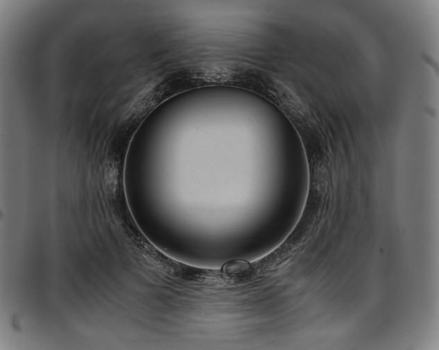 X0000097600697200802291244