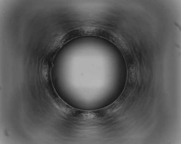 X0000097600698200802291244
