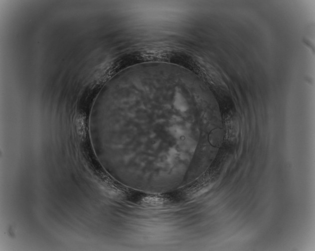X0000097600699200802291244