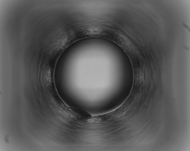 X0000097600700200802291244