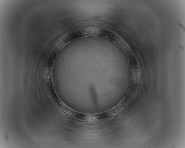 X0000097600701200802291244