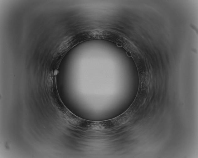X0000097600702200802291244
