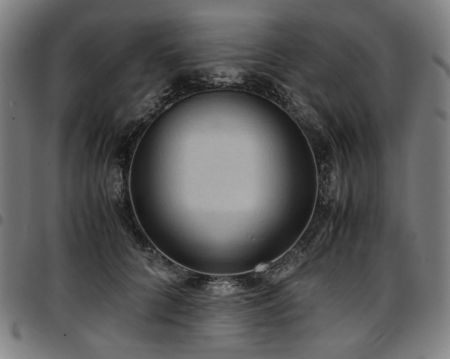 X0000097600704200802291244