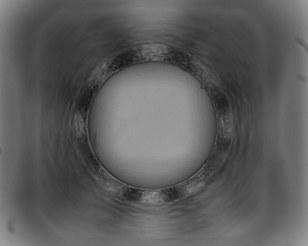 X0000097600705200802291244