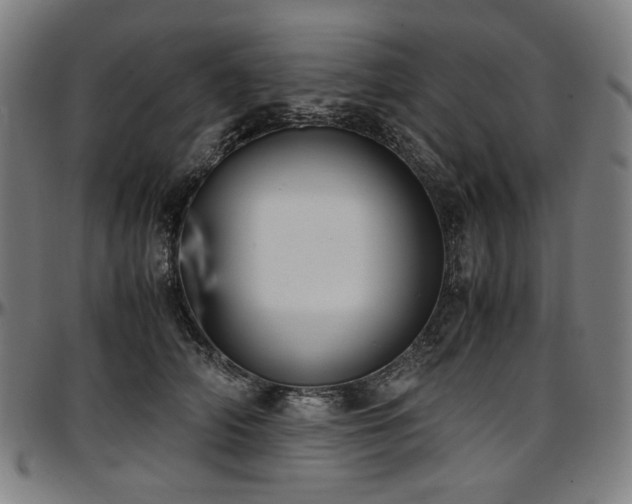 X0000097600706200802291244
