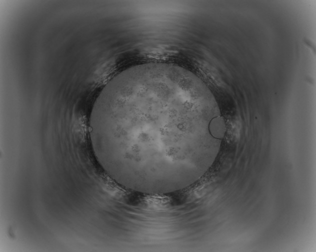 X0000097600707200802291244