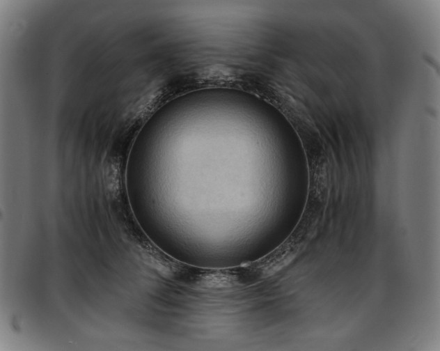 X0000097600708200802291244