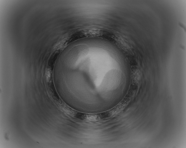 X0000097600709200802291243