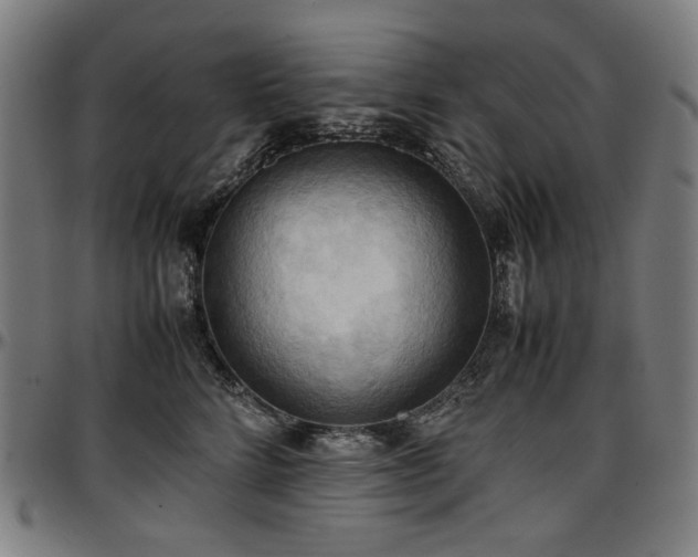 X0000097600712200802291243