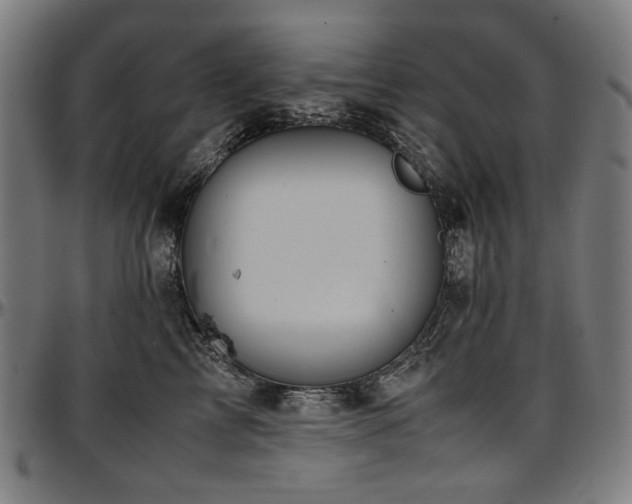 X0000097600713200802291243