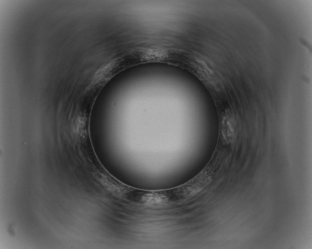 X0000097600714200802291243