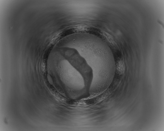 X0000097600715200802291243