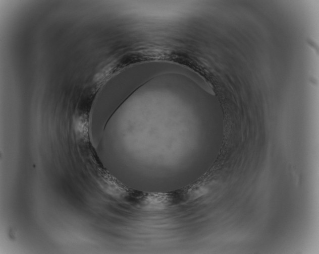 X0000097600720200802291243