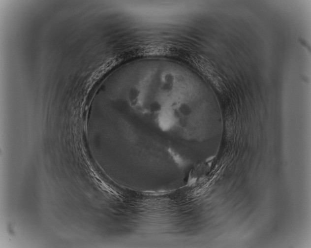 X0000097600721200802291242