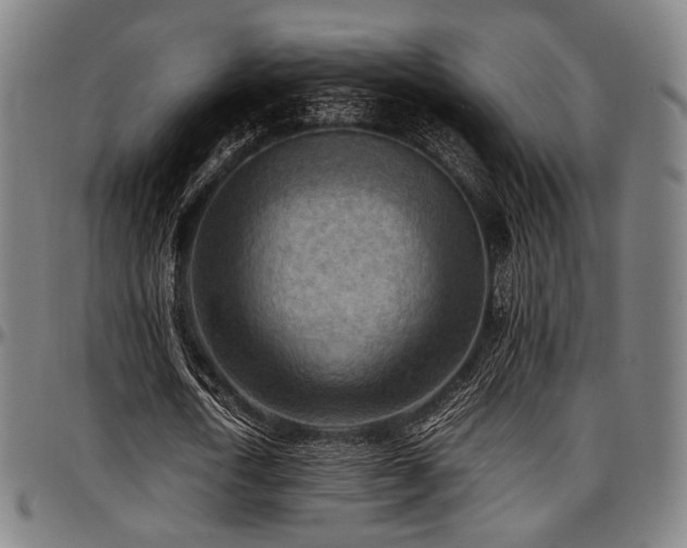 X0000097600722200802291242