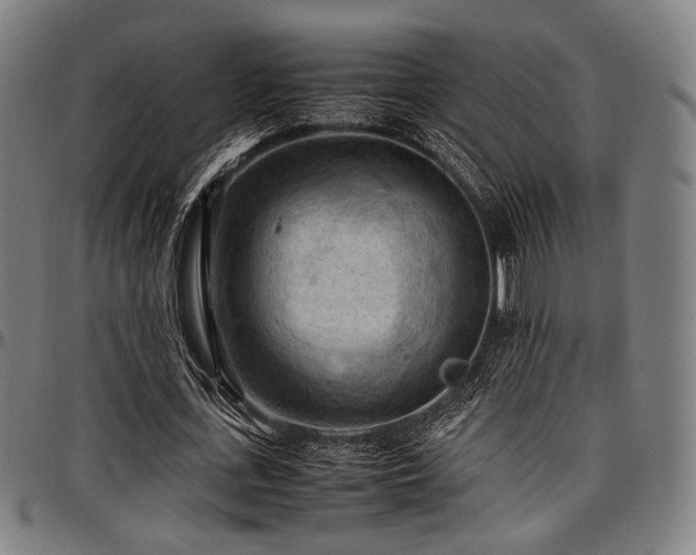 X0000097600723200802291242