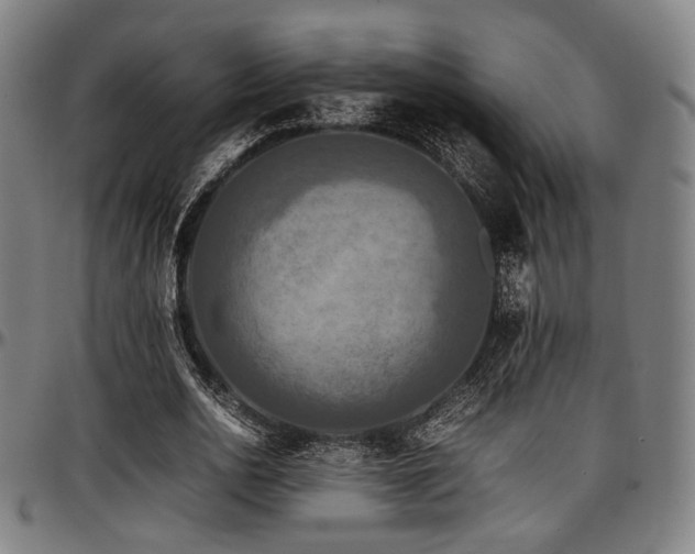 X0000097600726200802291243