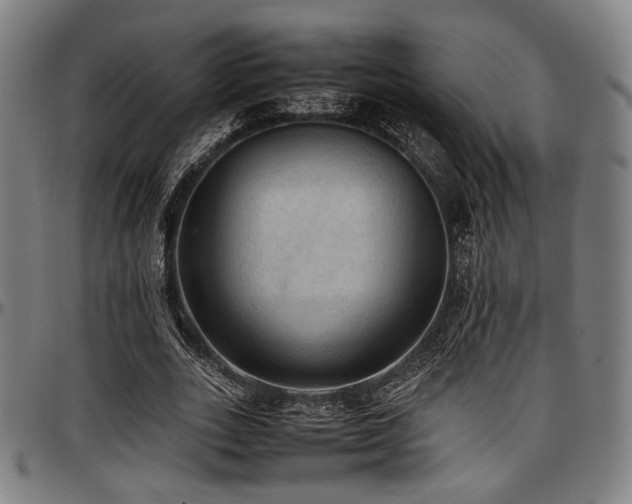 X0000097600727200802291243