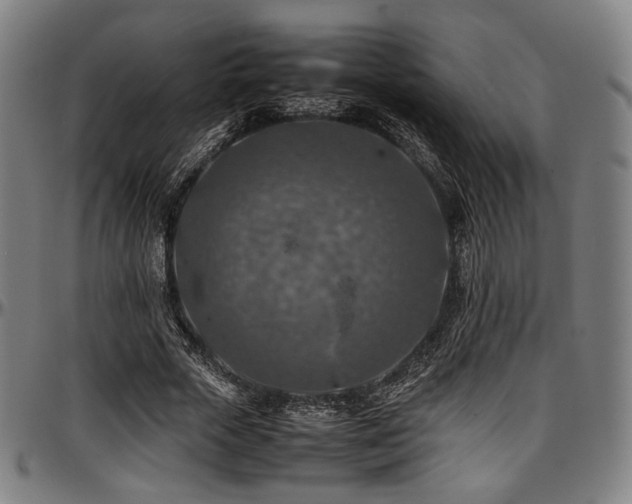 X0000097600729200802291243