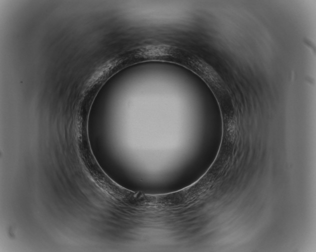 X0000097600732200802291243