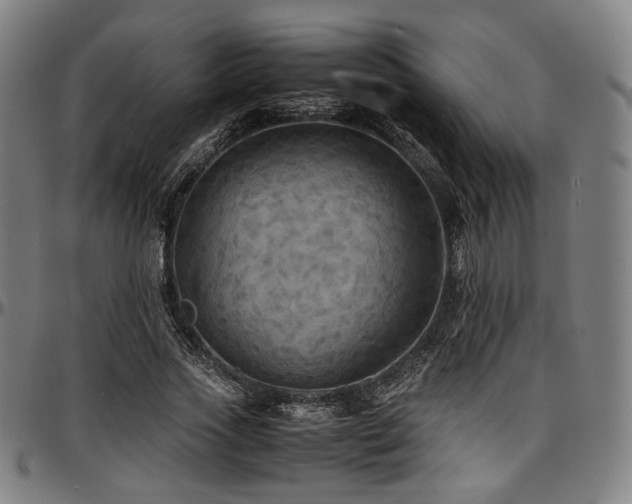 X0000097600733200802291243