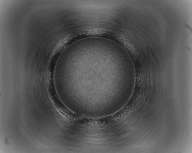 X0000097600736200802291243