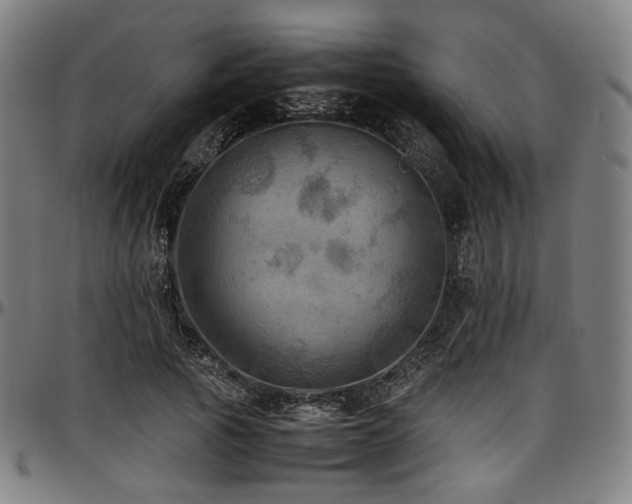 X0000097600737200802291243