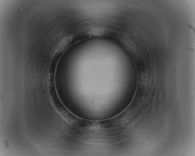 X0000097600738200802291243